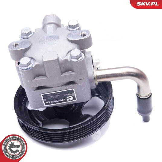 Servopumpe ESEN SKV 10SKV268