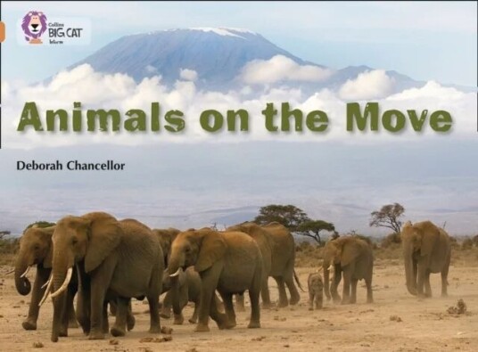 Animals On The Move Av Deborah Chancellor Animals On The Move Av Deborah Chancellor