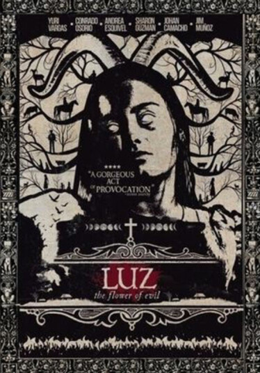 Luz: Flower Of Evil DVD
