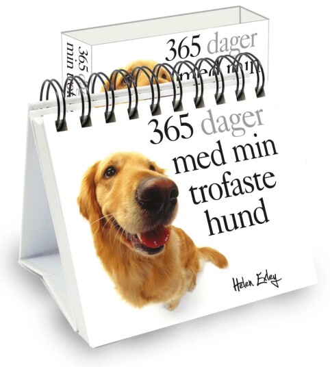 365 Dager Med Min Trofaste Hund Av Pam Brown