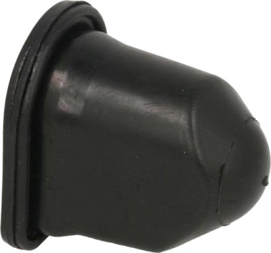 S-TR STR-120316 Lagring, stabilisator koplingsstang S-TR STR-120316 Lagring, stabilisator koplingsstang