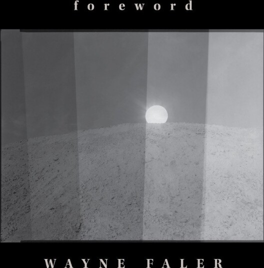 Wayne Faler Foreword Vinyl
