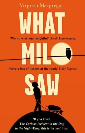 What Milo Saw Av Virginia Macgregor
