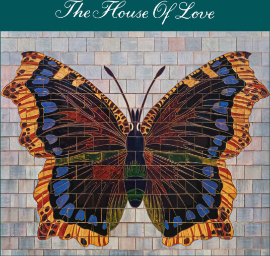 The House Of Love The House Of Love CD