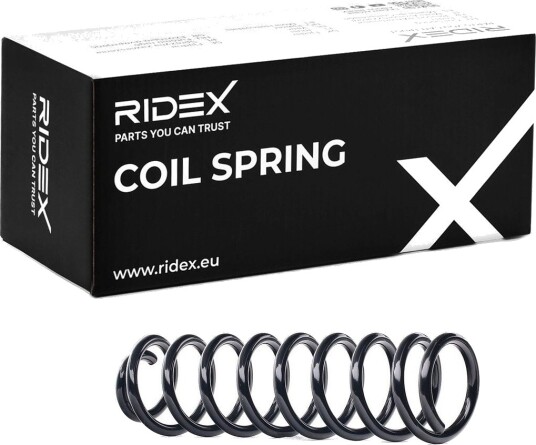 RIDEX 188C0576 Fjær