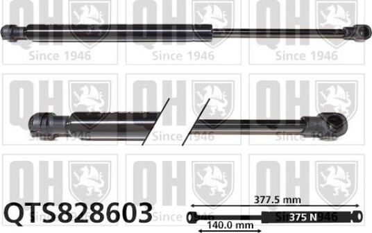 QUINTON HAZELL QTS828603 Baklukedemper