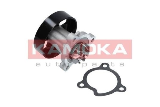 Vannpumpe KAMOKA T0221