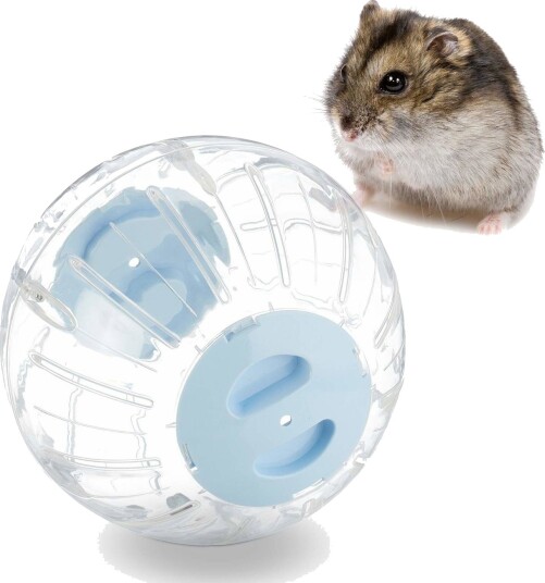 Rxs Hamsterball Med Lyseblått Lokk