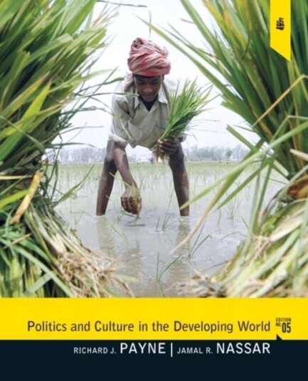 Politics and Culture in the Developing World