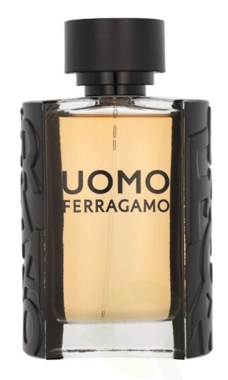 Ferragamo S. Ferragamo Uomo Pour Homme Eau De Toilette Spray 100 ml