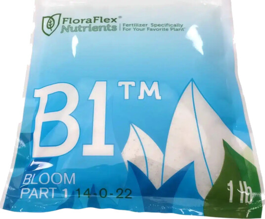 B1 Bloom – Part 1 B1 Bloom – Part 1
