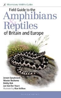 Field Guide To The Amphibians And Reptiles Of Britain And Europe Av Jeroen Speybroeck, Wouter Beukema, Bobby Bok, Jan Van Der Voort Field Guide To The Amphibians And Reptiles Of Britain And Europe Av Jeroen Speybroeck, Wouter Beukema, Bobby Bok, Jan Van Der Voort