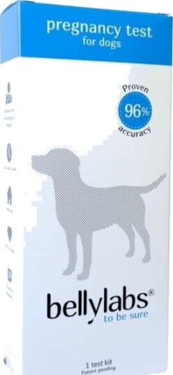 Bellylabs Drektighetstest Til Hund Bellylabs Drektighetstest Til Hund