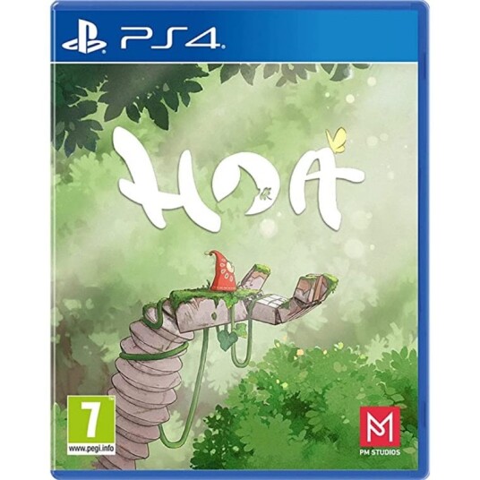 HOA HOA