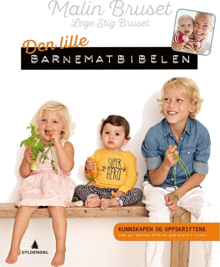 Den lille barnematbibelen