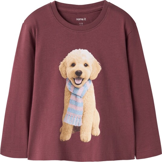 Name It Nmfvotea Ls Nreg Top WILD GINGER 104