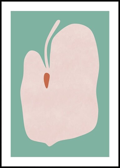 Pink Anthurium Flower Plakat Plakat / 30x40cm