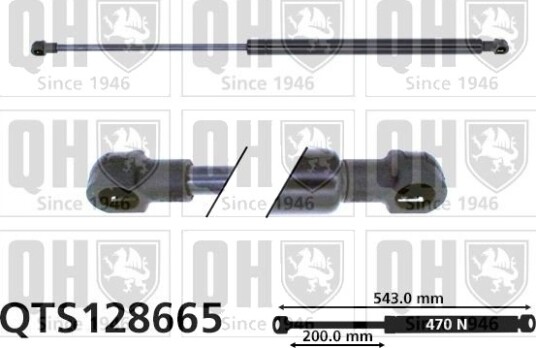 QUINTON HAZELL QTS128665 Baklukedemper