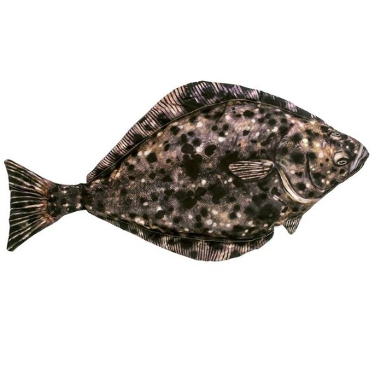 Marinor As Pute   Kveite   100 cm
