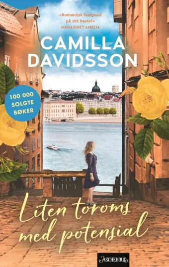 Liten Toroms Med Potensial Av Camilla Davidsson