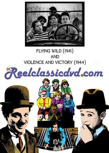 Flying Wild 1941 And Violence & Victory Wwii DVD