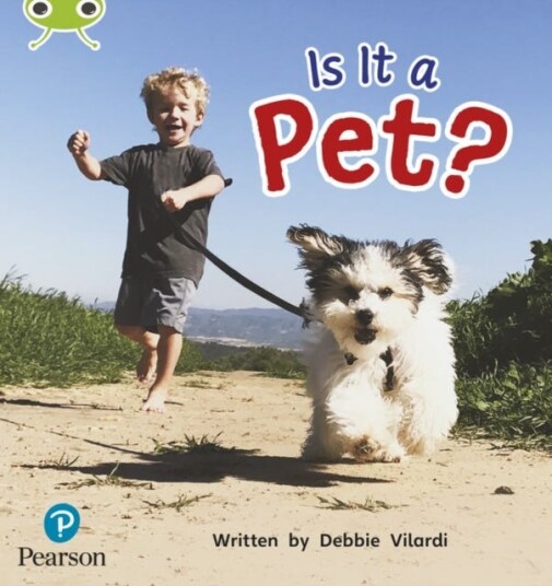 Bug Club Phonics  Phase 2 Unit 4: Is It a Pet?