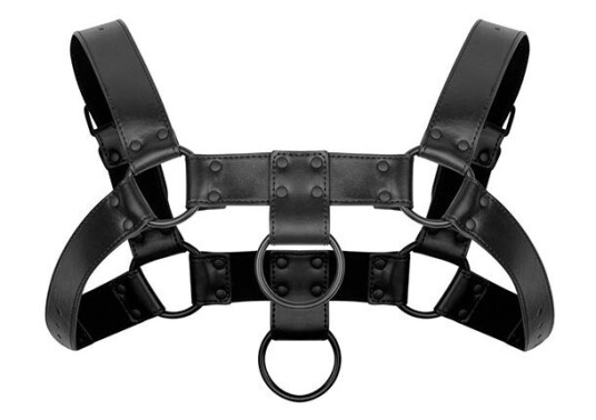 Bedroom Fantasies Bedroom Fantasies Bruno Bondage Harness BF028BLK Bedroom Fantasies Bedroom Fantasies Bruno Bondage Harness BF028BLK