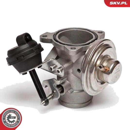 EGR-ventil ESEN SKV 14SKV020