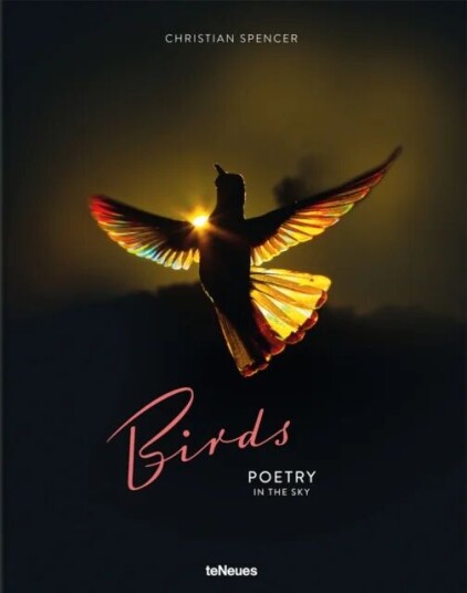 Birds Av Christian Spencer