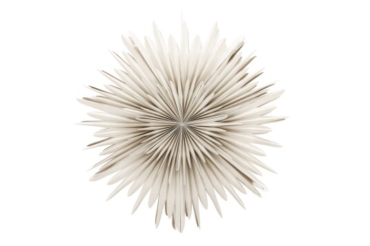Venture Design Sälen adventsstjerne Beige 100 cm Beige Venture Design Sälen adventsstjerne Beige 100 cm Beige