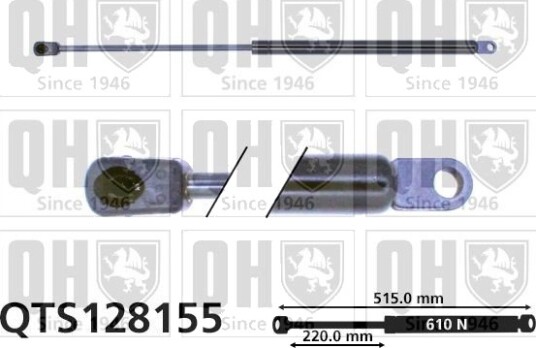 QUINTON HAZELL QTS128155 Baklukedemper