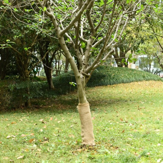 Juterull 0,5x25 m 100% jute 200 gsm Juterull 0,5x25 m 100% jute 200 gsm
