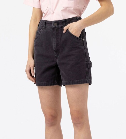 Dickies Shorts - Duck Canvas Carpenter Beige Male W33