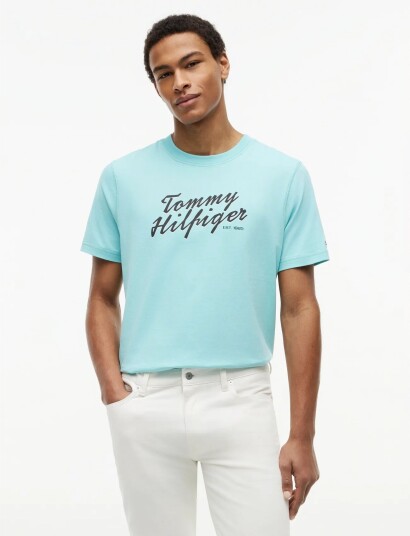 Tommy Hilfiger Summer Text Graphic Tee Blue XXL Tommy Hilfiger Summer Text Graphic Tee Blue XXL