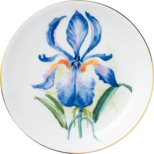 Magnor Bijoux asjett 11 cm Iris
