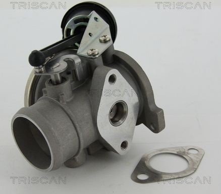 EGR ventil TRISCAN 8813 29022 EGR ventil TRISCAN 8813 29022