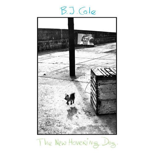 MediaTronixs B.J. Cole : The New Hovering Dog CD (2018) Pre-Owned