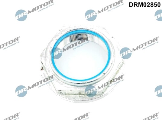 Mutter, akselstubb DR.MOTOR AUTOMOTIVE DRM02850