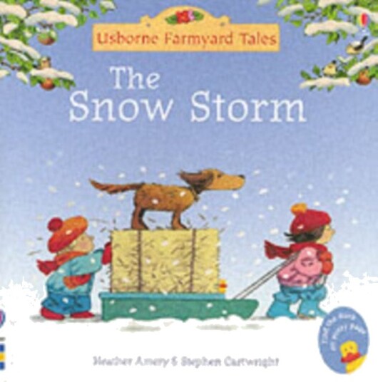 The Snow Storm