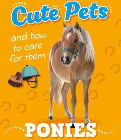 Cute Pets! And How to Care For Them: Ponies Cute Pets! And How to Care For Them: Ponies