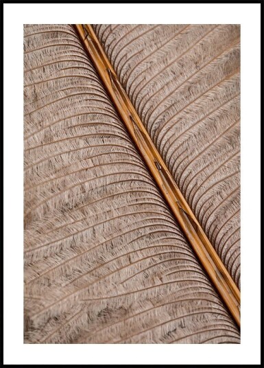 Feather_007 Poster Plakat / 30x40cm
