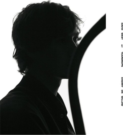 David West Mit Teardrops Cherry On Willow Vinyl