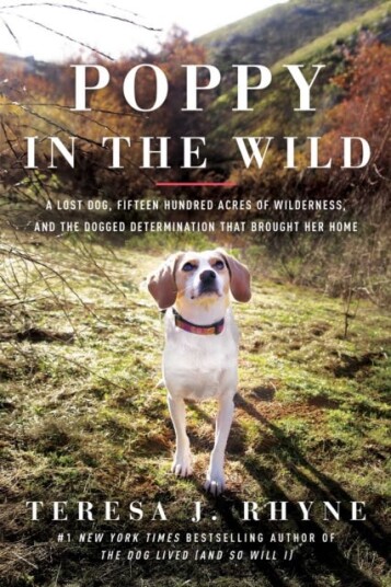 Poppy In The Wild Av Teresa J. Rhyne