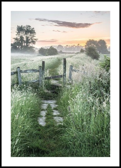 Misty Summer Dawn Plakat Plakat / 40x50cm