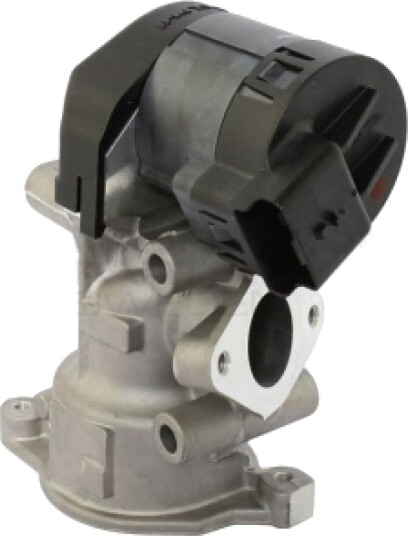 EGR Ventil Professional Parts 87430980