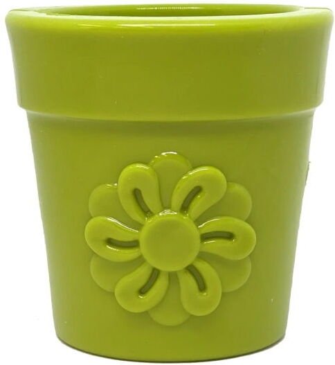 Sodapup Flower Pot Aktivitetsleke 9 cm (Grønn) Sodapup Flower Pot Aktivitetsleke 9 cm (Grønn)