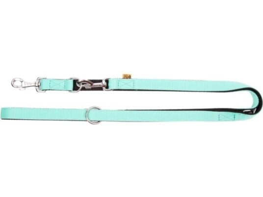 Dingo Energy Hundebånd Mint 22 M