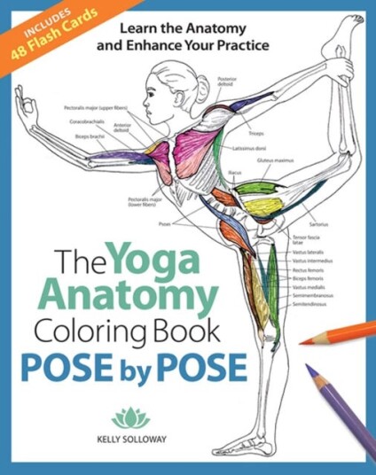 Pose by Pose Learn the Anatomy and Enhance Your Practice