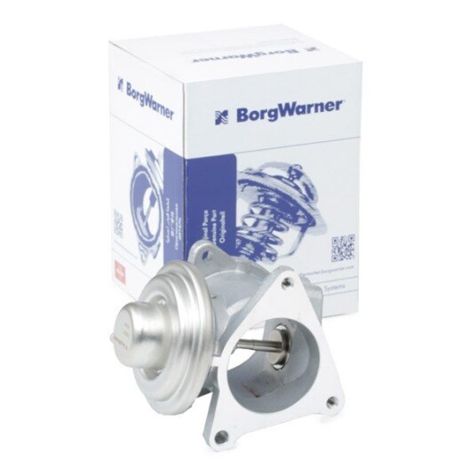 EGR Ventil WAHLER 7496D/1