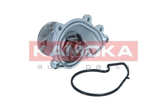 KAMOKA T0312 Vannpumpe